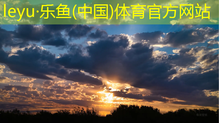 <strong>乐鱼体育官方网站,宿迁实木塑胶跑道价格表</strong>