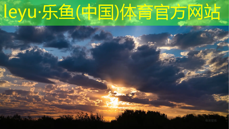 乐鱼体育,淮安专用塑胶跑道施工