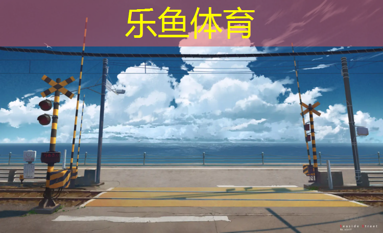 青海自洁纹塑胶跑道